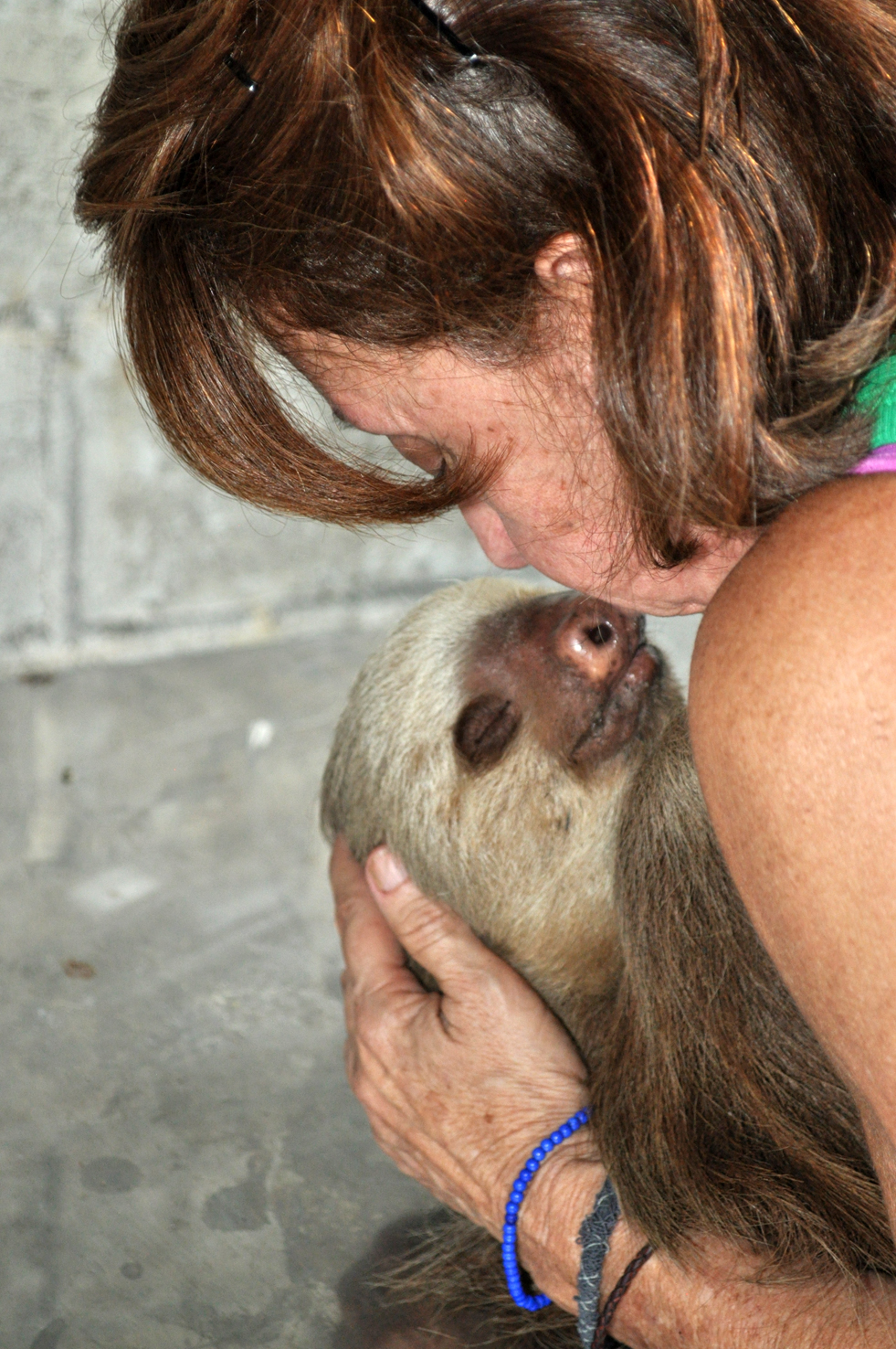 Costa Rica Animal Rescue Centre